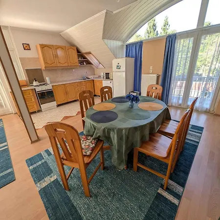 In - Balaton 53224 Apartment